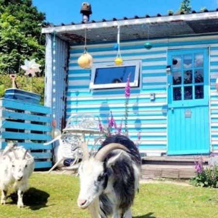 Treguth Glamping Unique Experience - Themed Huts 호텔 Saint Day 외부 사진