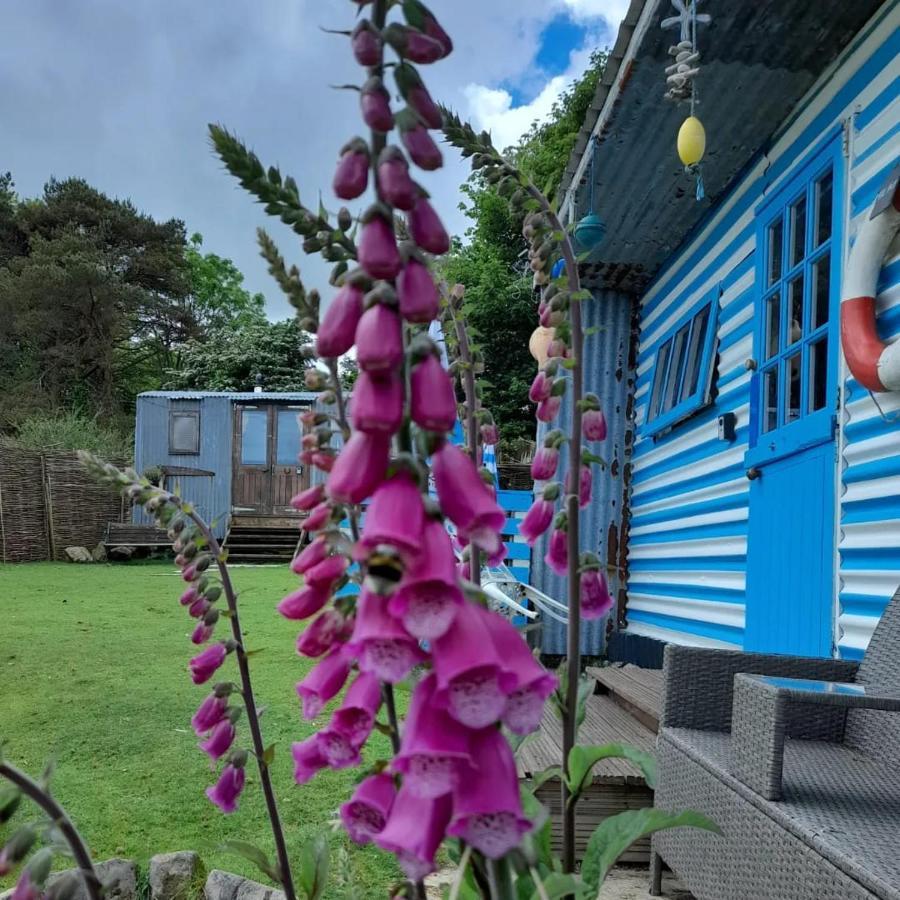 Treguth Glamping Unique Experience - Themed Huts 호텔 Saint Day 외부 사진