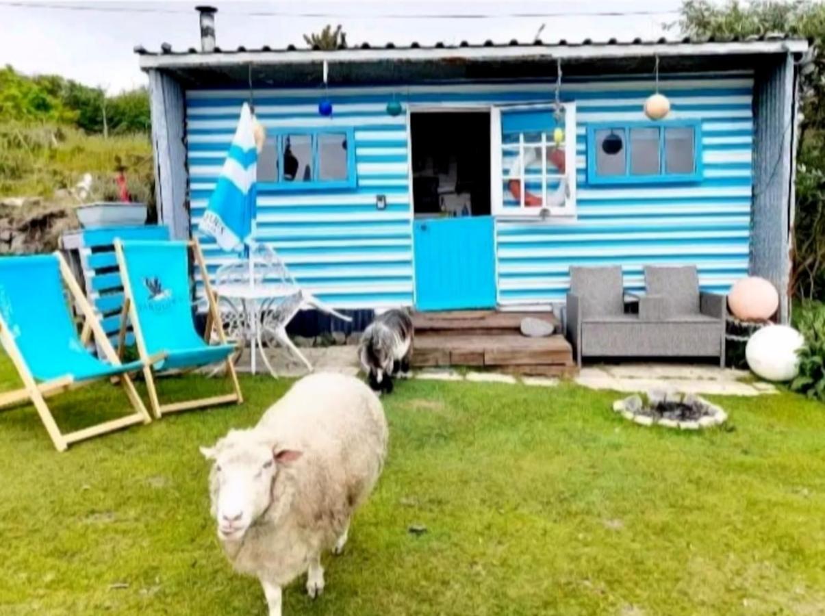 Treguth Glamping Unique Experience - Themed Huts 호텔 Saint Day 외부 사진