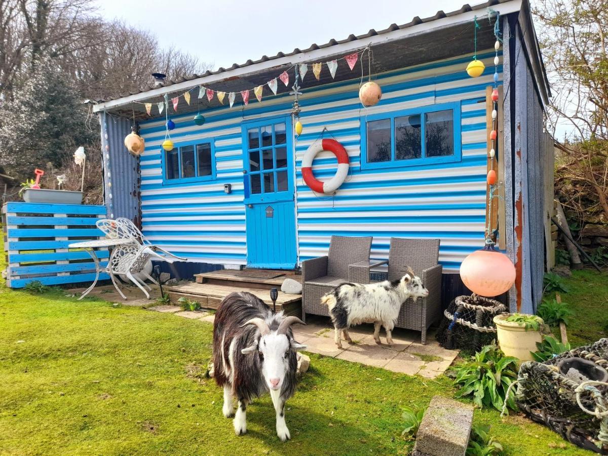 Treguth Glamping Unique Experience - Themed Huts 호텔 Saint Day 외부 사진