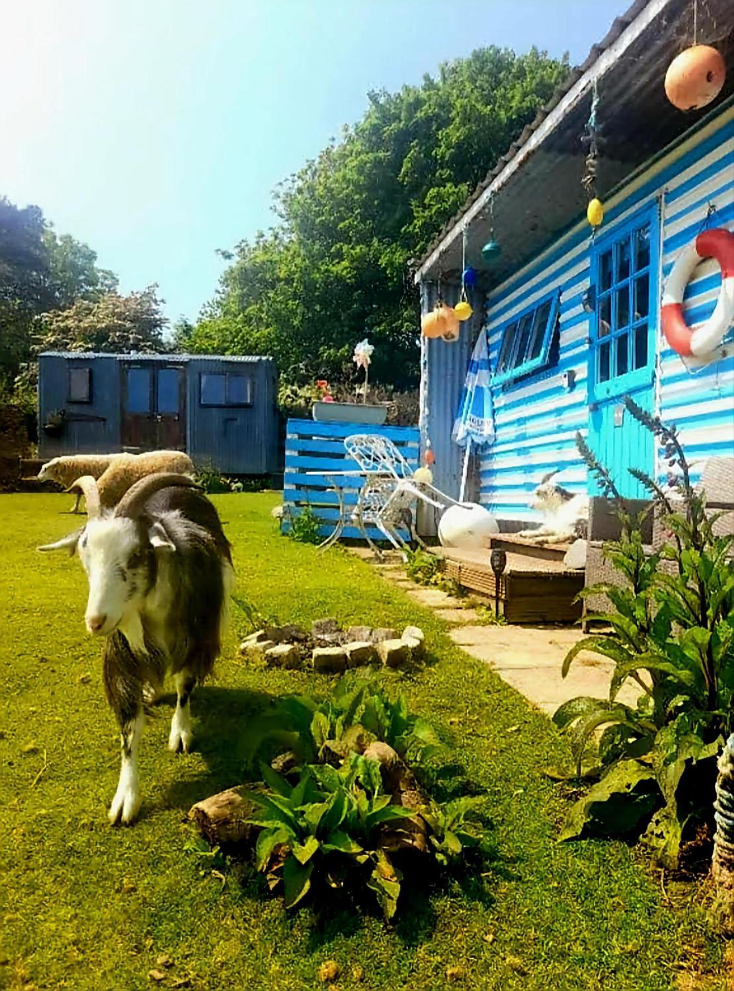 Treguth Glamping Unique Experience - Themed Huts 호텔 Saint Day 외부 사진