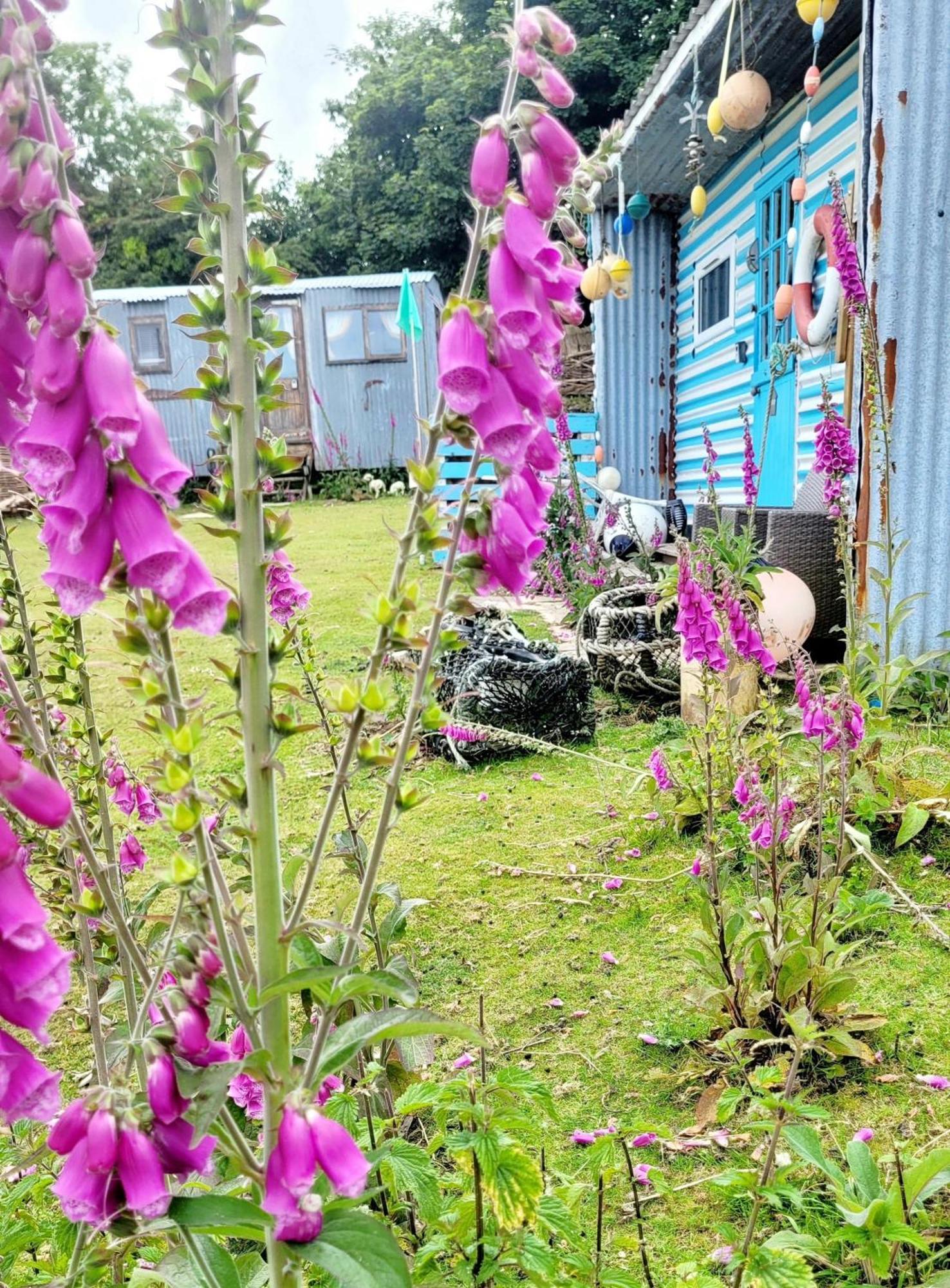 Treguth Glamping Unique Experience - Themed Huts 호텔 Saint Day 외부 사진