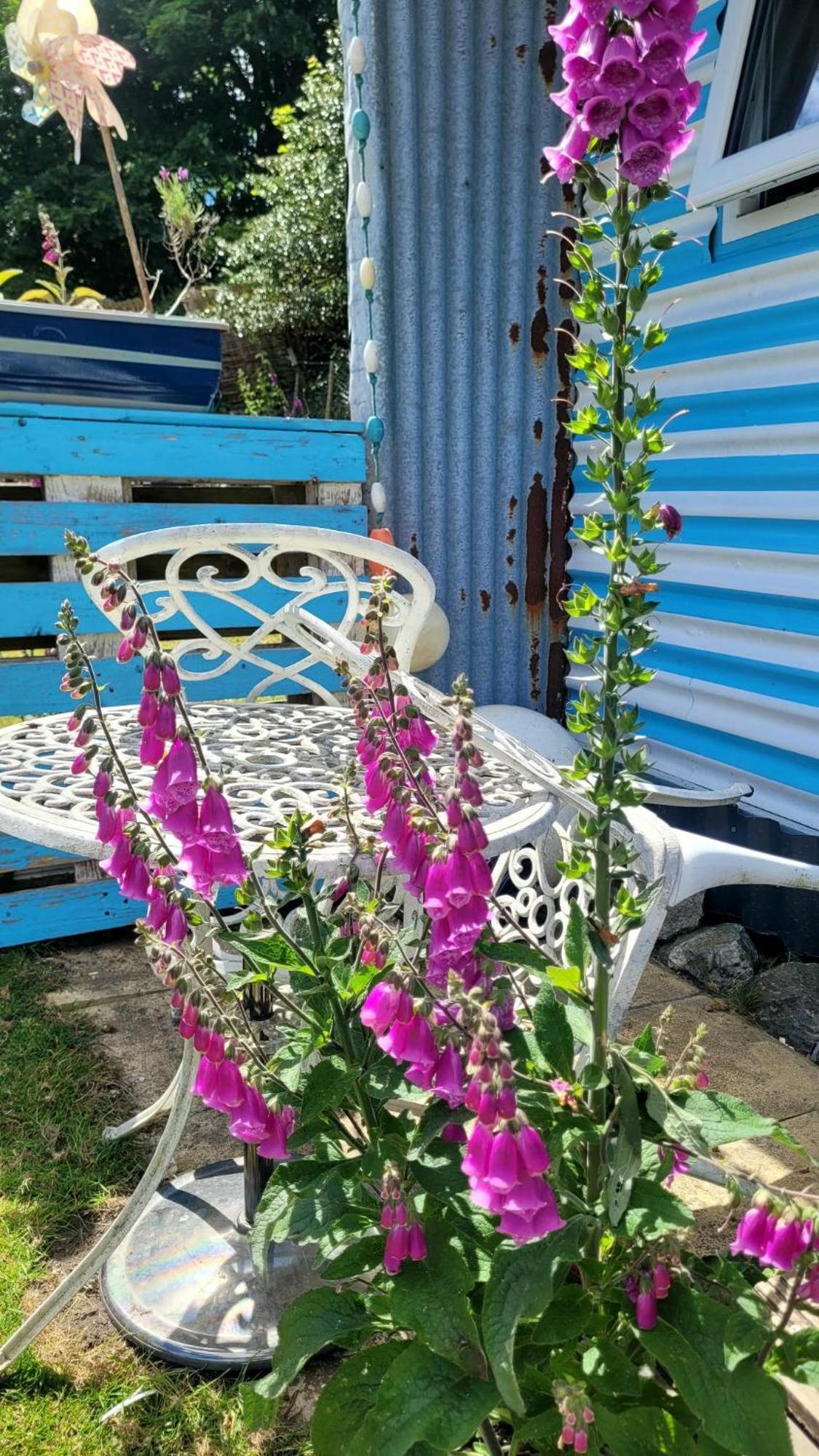 Treguth Glamping Unique Experience - Themed Huts 호텔 Saint Day 외부 사진