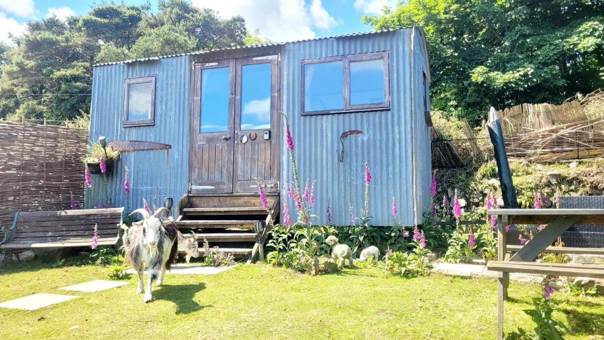 Treguth Glamping Unique Experience - Themed Huts 호텔 Saint Day 외부 사진