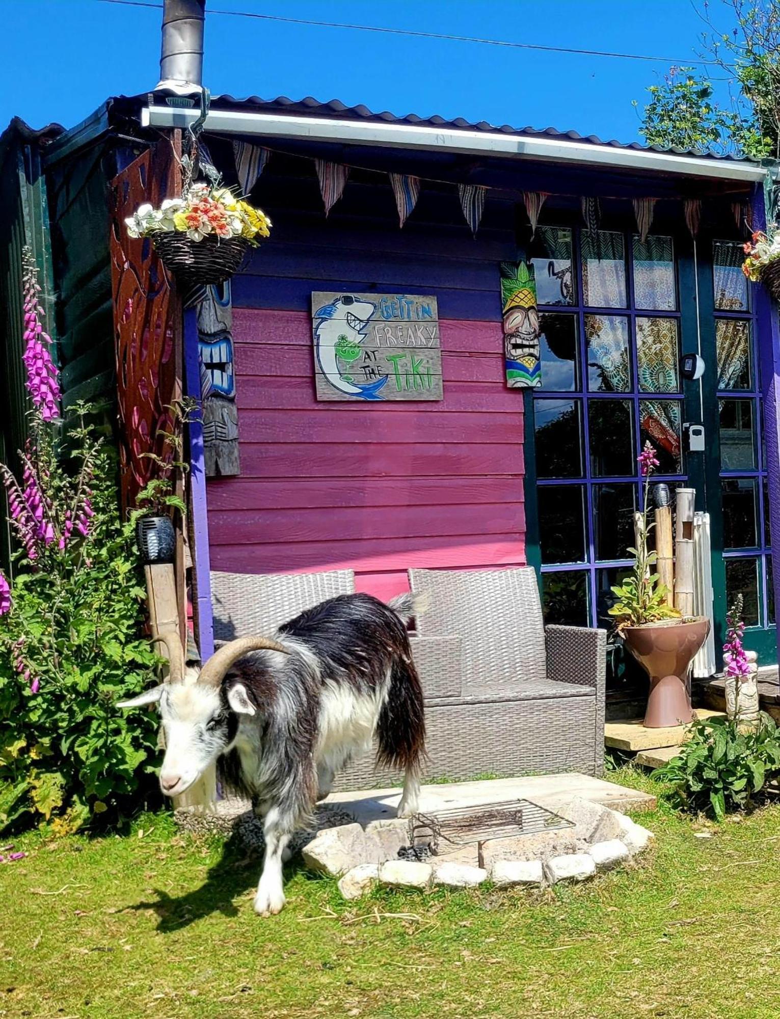Treguth Glamping Unique Experience - Themed Huts 호텔 Saint Day 외부 사진