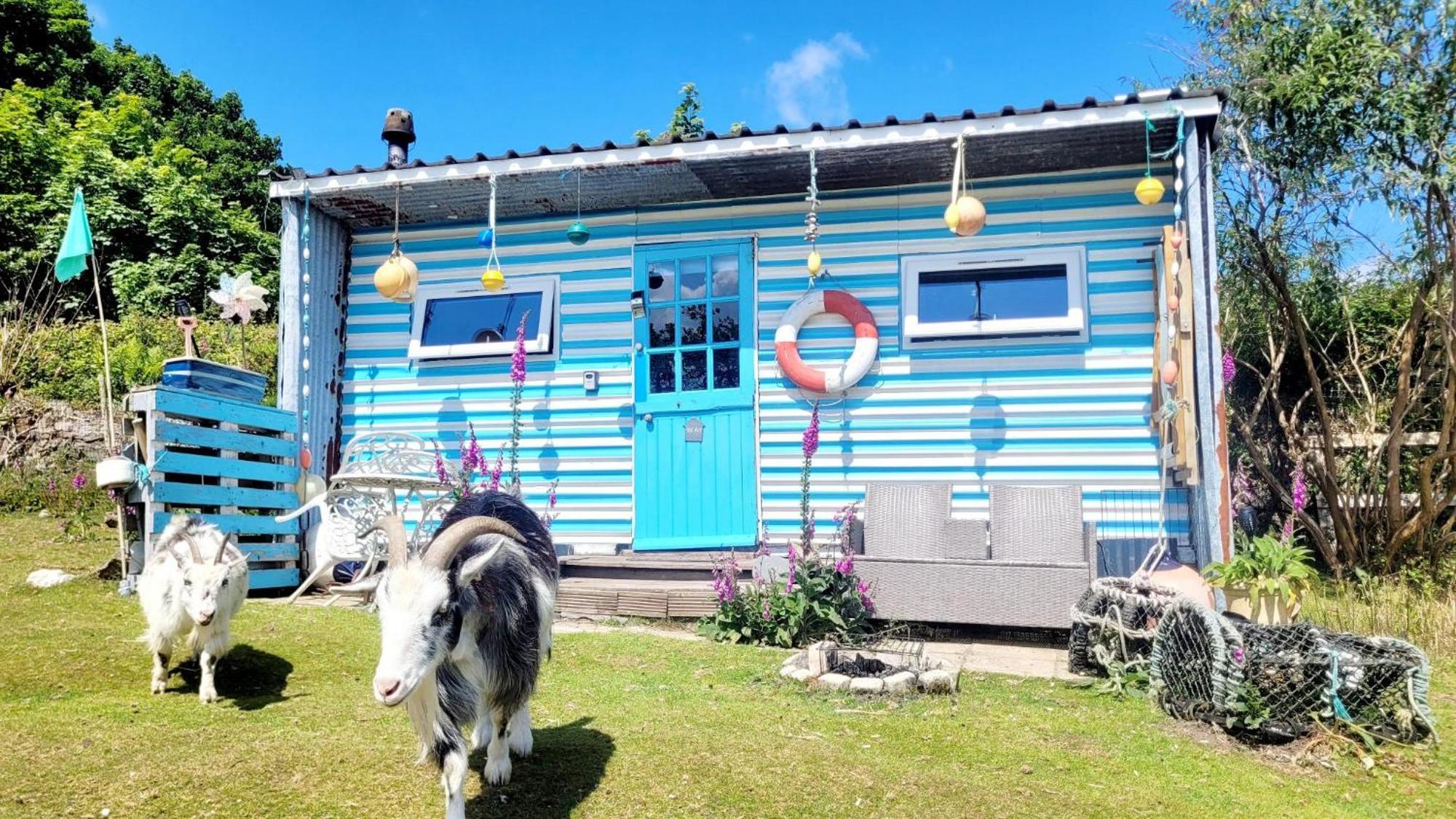 Treguth Glamping Unique Experience - Themed Huts 호텔 Saint Day 외부 사진