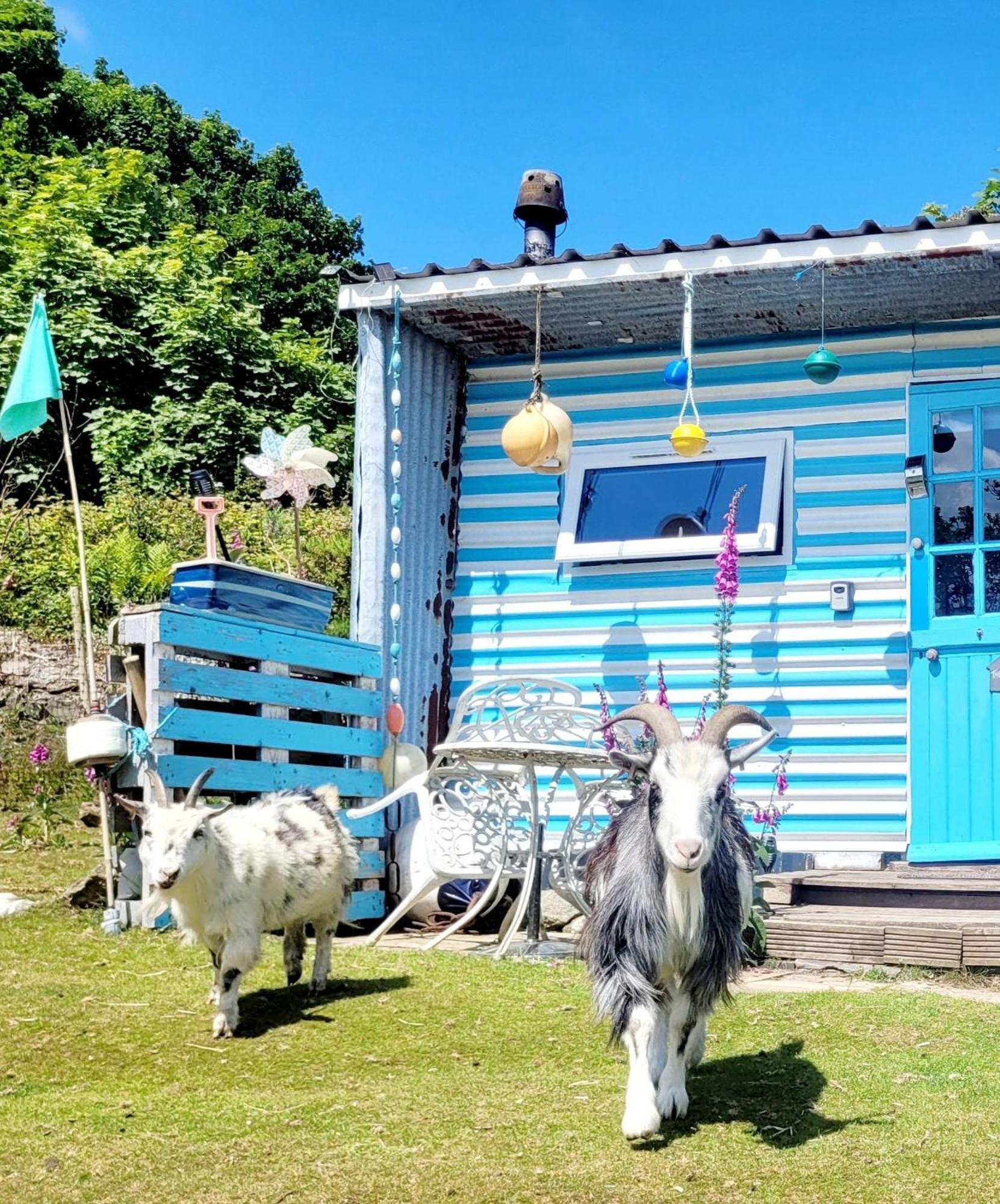Treguth Glamping Unique Experience - Themed Huts 호텔 Saint Day 외부 사진