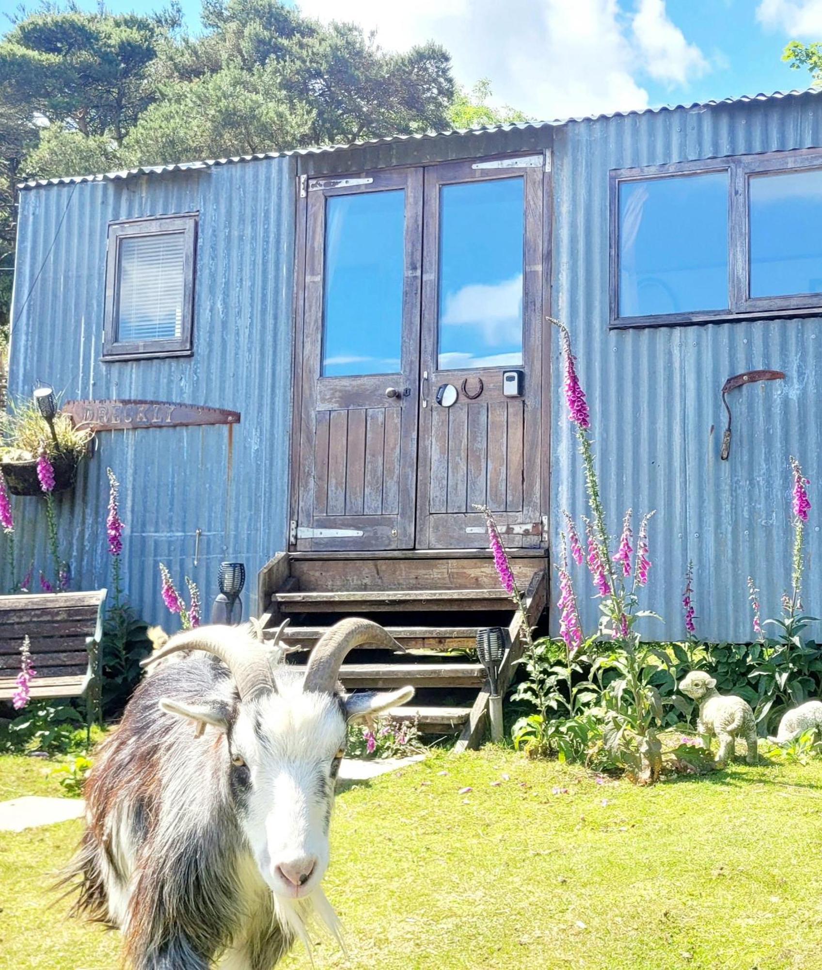 Treguth Glamping Unique Experience - Themed Huts 호텔 Saint Day 외부 사진