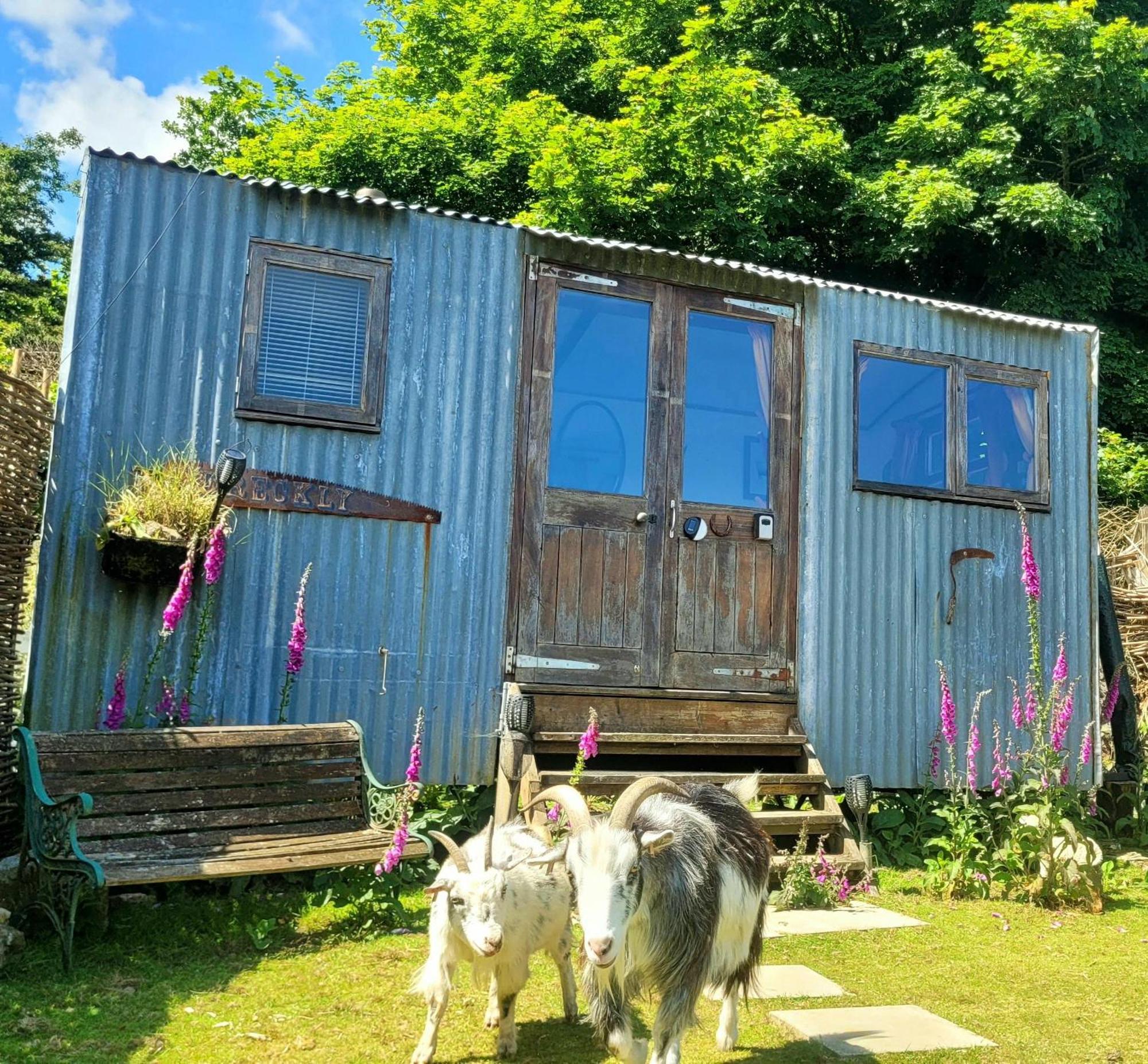 Treguth Glamping Unique Experience - Themed Huts 호텔 Saint Day 외부 사진