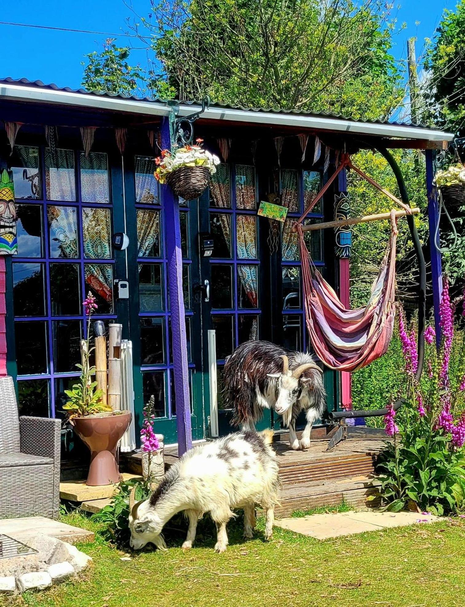 Treguth Glamping Unique Experience - Themed Huts 호텔 Saint Day 외부 사진
