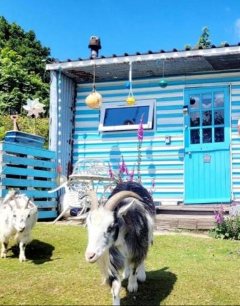 Treguth Glamping Unique Experience - Themed Huts 호텔 Saint Day 외부 사진